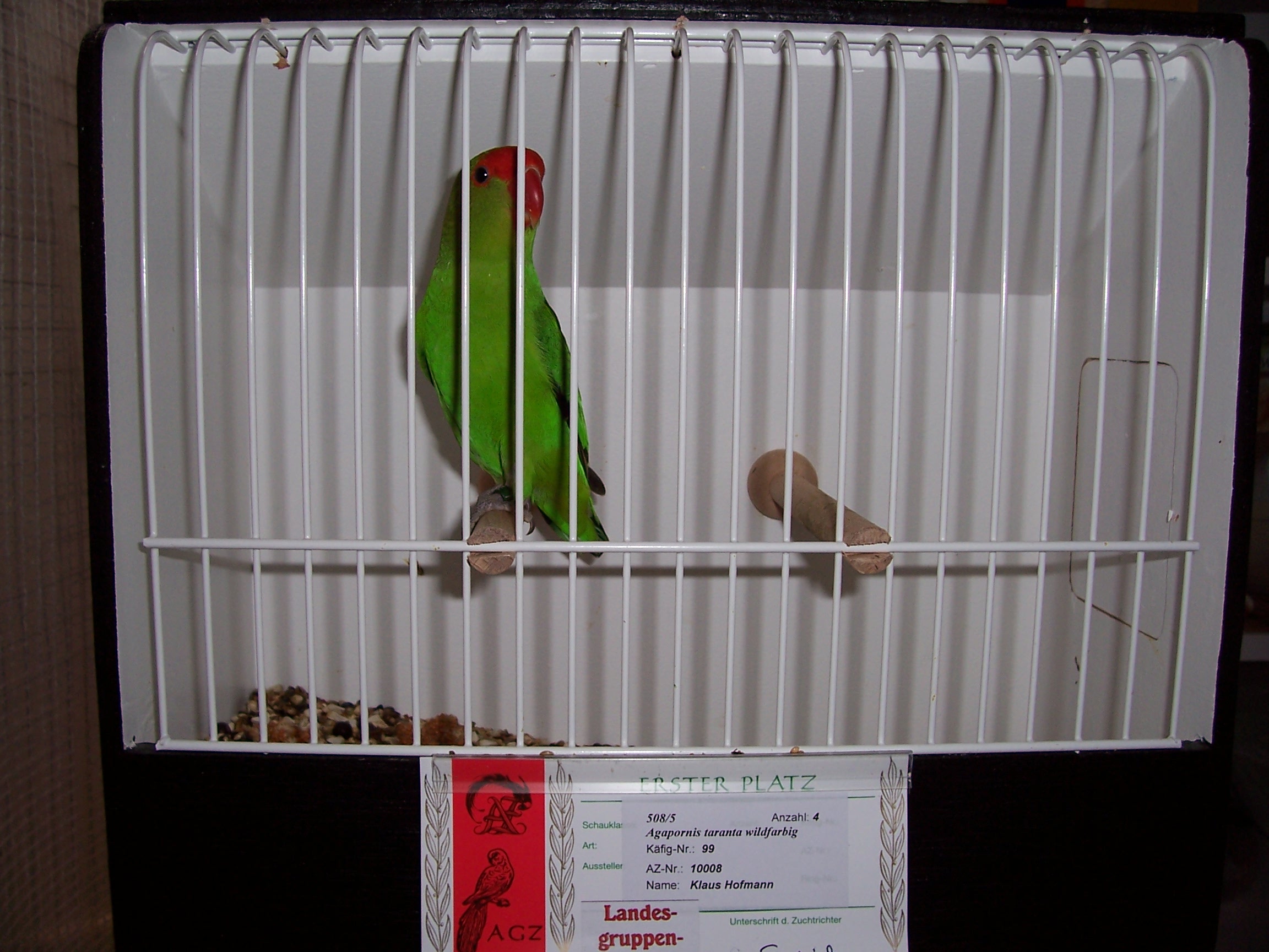 Käfigbild 4