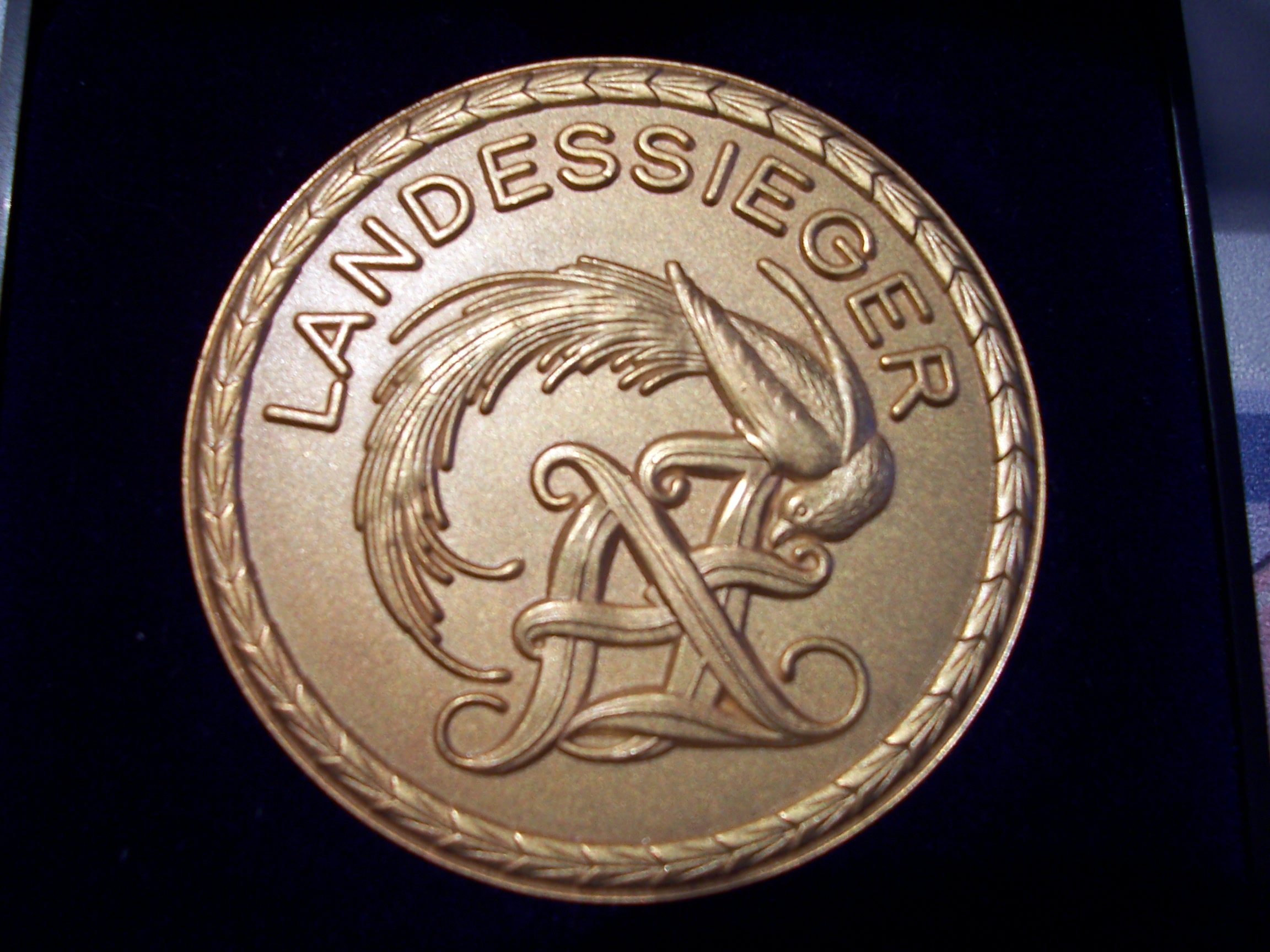Medaille Landessieger VS