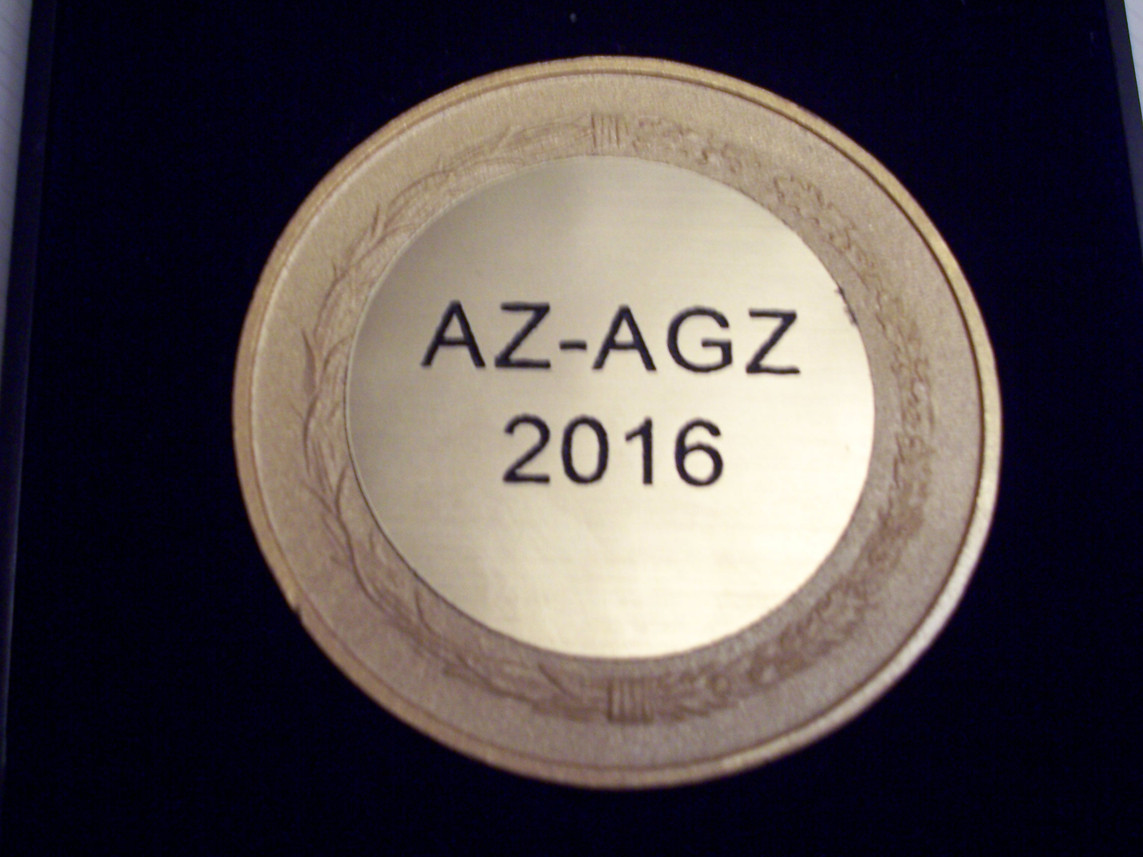 Medaille Landessieger RS